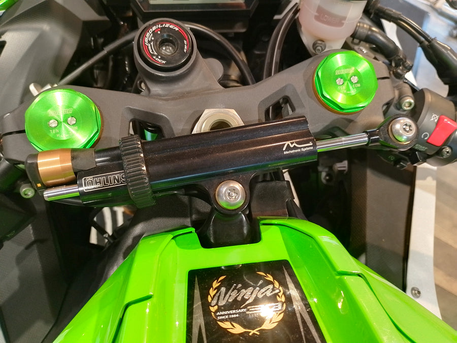 Kawasaki Ninja ZX10R 2015